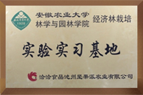 安農(nóng)大實(shí)驗實(shí)習(xí)基地